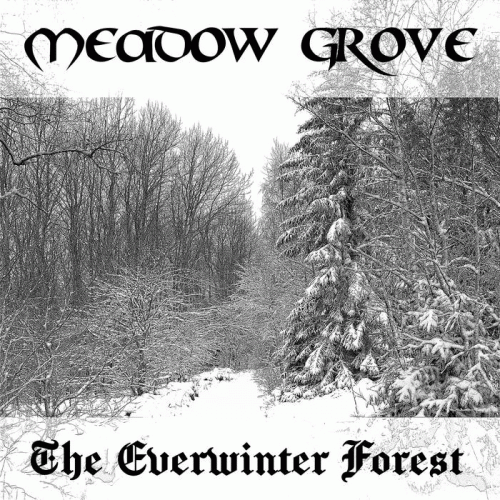 The Everwinter Forest